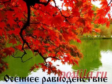 ˙·٠•● ∀ МИР ВЕЛЕСА ∀ ●•٠·˙