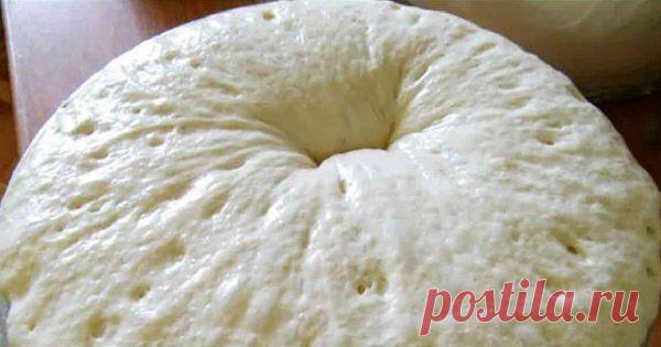 Рецепт этого теста — просто находка! Времени нужно всего 15 минут, можно замораживать, долго хранится… — Копилочка полезных советов