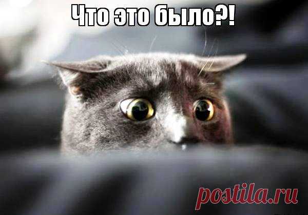 (105) Facebook