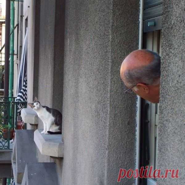 ку-ку? МЯУУУУУУУУУУУУ