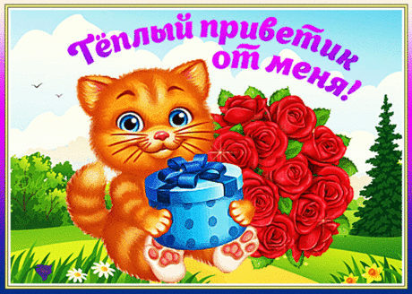 Теплый Привет от меня!