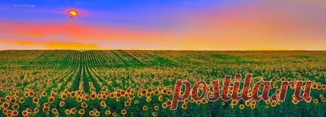 Дикая природа США. Фотограф Kadek Susanto