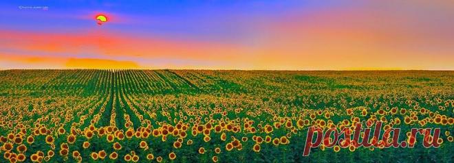 Дикая природа США. Фотограф Kadek Susanto