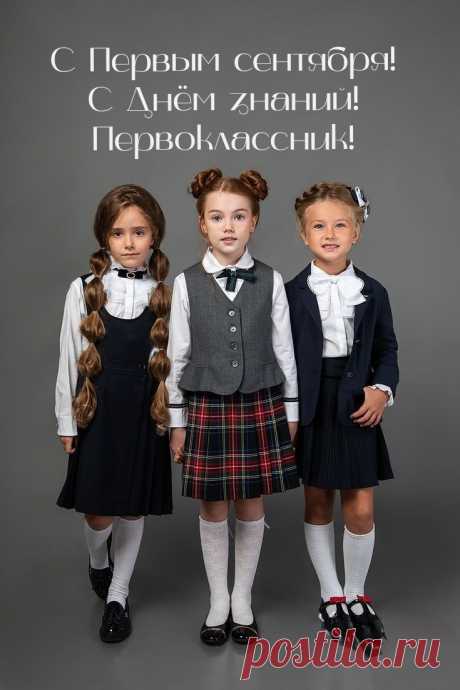 Вас, ребята, поздравляю,
Первоклашки вы сейчас,
Я в страну прекрасных знаний
Поведу сегодня вас.