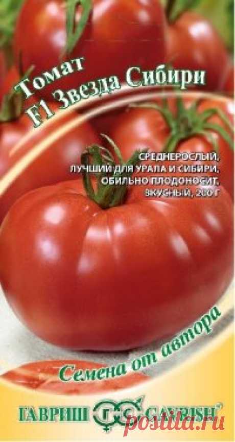 Семена. Томат "Звезда Сибири F1" (12 штук) Всхожесть: 98%.
Гибрид подходит для выращивания повсеместно, но показал особенно хорошие результаты в условиях Урала и Сибири. Обладает целым набором полезных качеств, которые обязательно оценят опытные сибирские овощеводы. Довольно быстро созревает (110-115 дней), гарантированно...