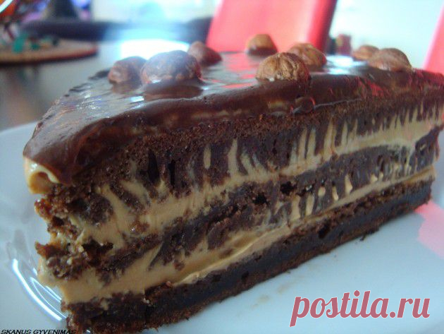 Tirps burnoje: karamelinis šokoladinis tortas - DELFI Gyvenimas