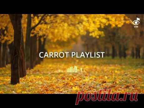 [Carrot Playlist] 가을이 불어오면 네 마음도 흔들릴까 // 손 끝으로 스며드는 가을 BGM