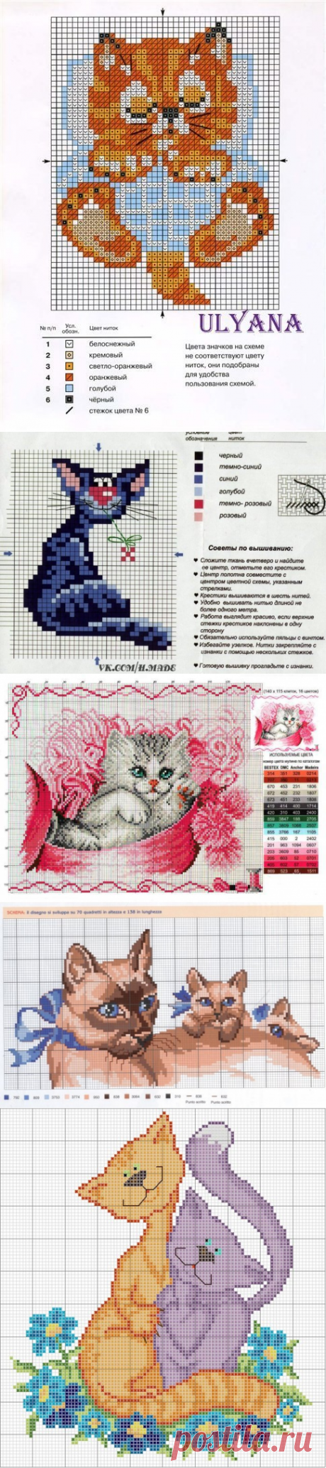 Кошки