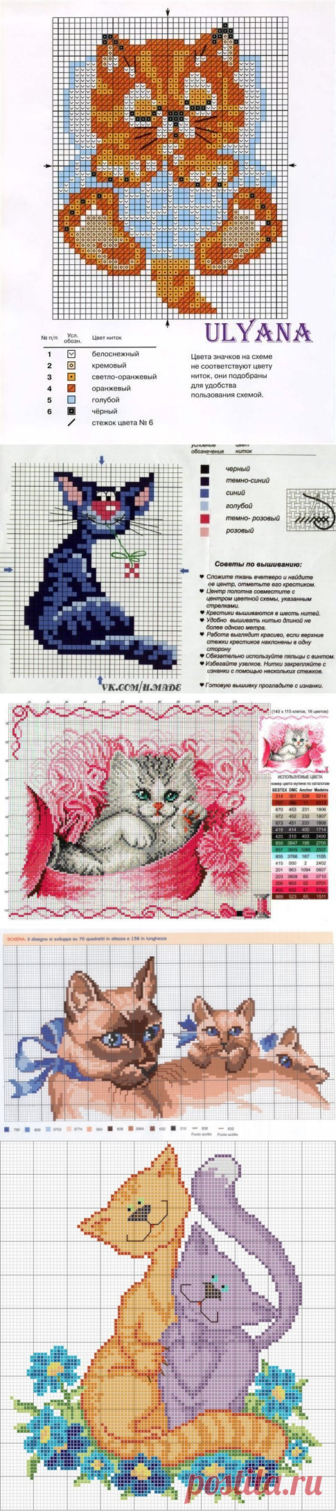 Кошки