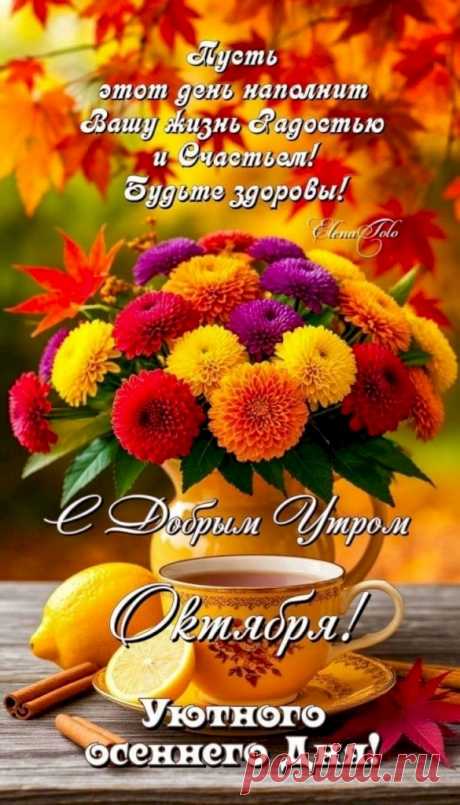 37521f82.jpg (585×1024)