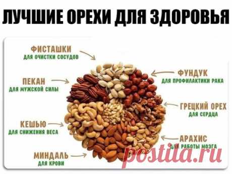 Орехи популярны во многих кухнях мира, а разнообразие блюд на ореховой основе поражает: всевозможные кондитерские изделия (торты, кексы,  печенье), варенье,  паста, масло, настойки, соусы. Орехами можно дополнять салаты, йогурты, мюсли, а также различные горячие блюда. Более того, орехи могут заменить целую трапезу – ими вполне можно позавтракать или перекусить во время полдника. Универсальный продукт! И очень полезный.
Орехи богаты легкоусвояемыми белками, полезными жирами, витаминами и минерал