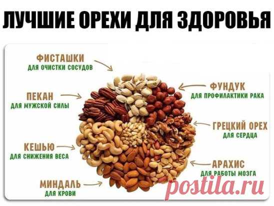Орехи популярны во многих кухнях мира, а разнообразие блюд на ореховой основе поражает: всевозможные кондитерские изделия (торты, кексы,  печенье), варенье,  паста, масло, настойки, соусы. Орехами можно дополнять салаты, йогурты, мюсли, а также различные горячие блюда. Более того, орехи могут заменить целую трапезу – ими вполне можно позавтракать или перекусить во время полдника. Универсальный продукт! И очень полезный.
Орехи богаты легкоусвояемыми белками, полезными жирами, витаминами и минерал