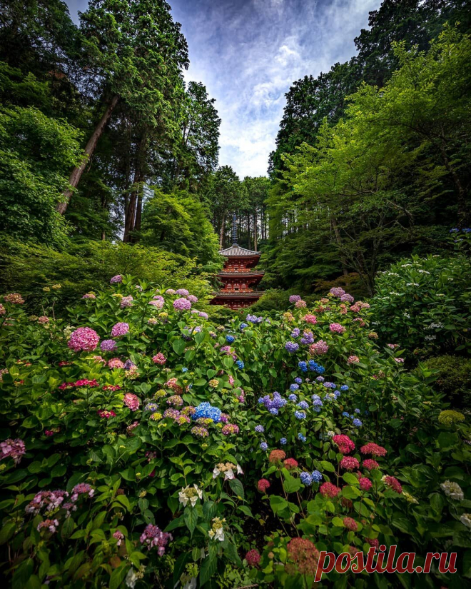 i (1080×1350)