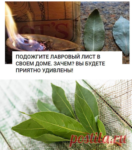 (72) Одноклассники