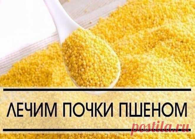 Эффективное лечение почек пшеном | OK.RU