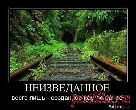 x_c1dd7c6a.jpg (600×485)