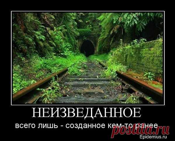 x_c1dd7c6a.jpg (600×485)