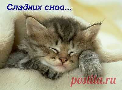 Сладких снов