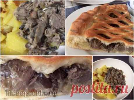 Куриные желудочки с грибами и сыром - два блюда - ХЛЕБОПЕЧКА.РУ - рецепты, отзывы, инструкции