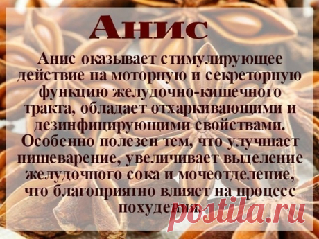 Польза специй. ОБЯЗАТЕЛЬНО Сохраните! — Полезные советы