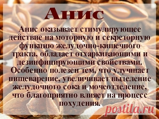 Польза специй. ОБЯЗАТЕЛЬНО Сохраните! — Полезные советы