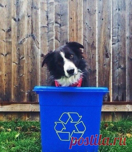 А Ваше письмо уже отправлено с https://irecycle.ru ?