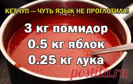 Рецепт домашнего кетчупа — больше магазинный вы покупать не будете Да-да, вот такой я кетчуп наварила в этом году, объедение! Вот рецептик:



Ингредиенты:

 	3 кг помидор
 	0.5 кг яблок
 	0.25 кг лука

Приготовление:

 	Все нарезать и варить, пока лук не станет мягкий. Измельчить блендером и варить до желаемой густоты, я варила минут 50.
 	До окончани