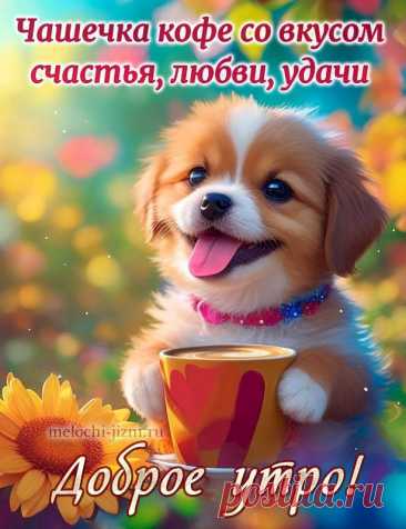 Выпуск №6420 - выпуск анекдотов сайта вокруг смеха