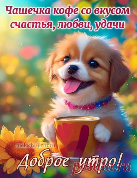 Выпуск №6420 - выпуск анекдотов сайта вокруг смеха