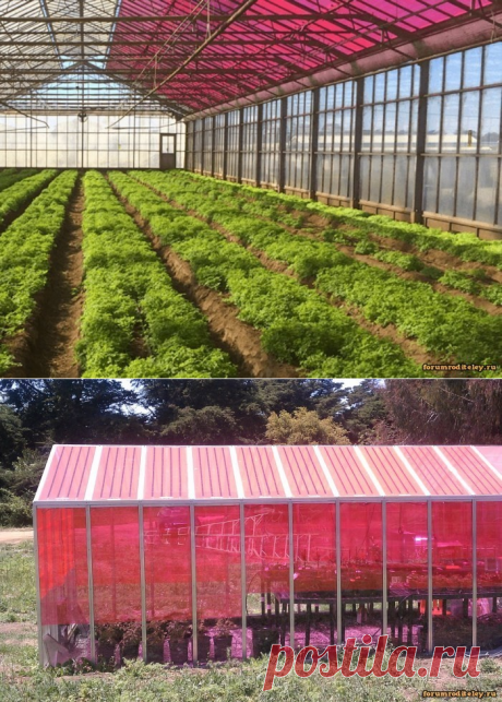 Создано стекло для теплиц, вырабатывающее электричество :: forumroditeley.ru - форум родителей и о детях https://forumroditeley.ru/viewtopic.php?t=7246