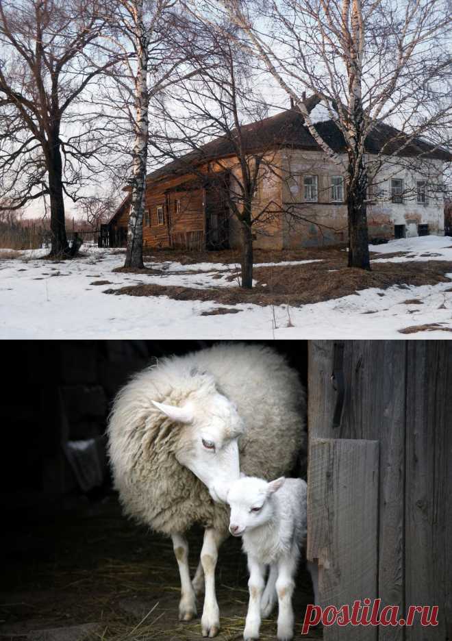 Листаем народный календарь: конец февраля - начало марта. 
25 февраля — Алексей рыбный.26 февраля — Мартын (Мартиниан) — укротитель страстей. 27 февраля — Кирилл Весноуказник, Бабьи взбрыксы. 28 февраля — Онисим Овчарник, зимобор. 1 марта — Маремьяна Кикимора. 2 марта — Федор (Феодор) Тирон.3 марта — Ярило с птицей-овсянкой.