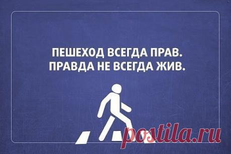 Юмор №1. Фото приколы, демотиваторы