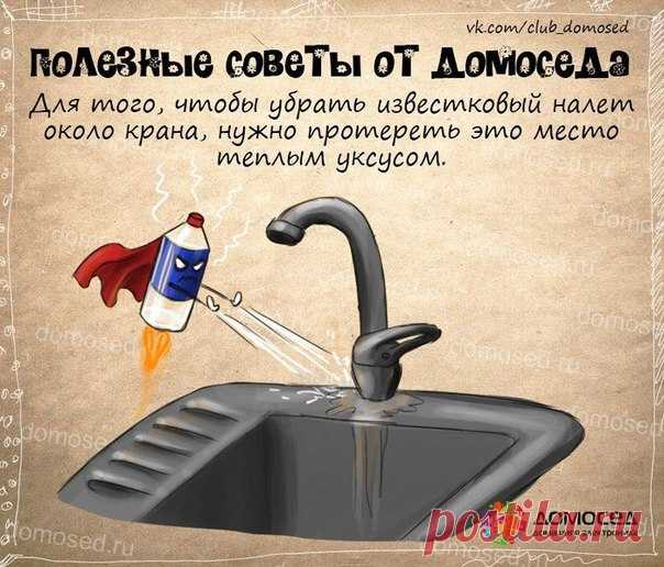 Советы в картинках на разные случаи жизни. — Всегда в форме!