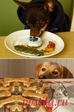 Как приготовить лакомство для собак и кошек. - Зоотерритория. Домашние животные