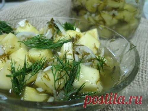 Кабачки как грузди | Домашние заготовки