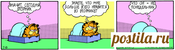 1980-07-08