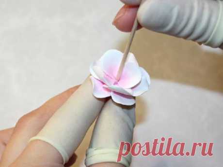 Холодный фарфор мастер класс или цветы из холодного фарфора | ibud.ua