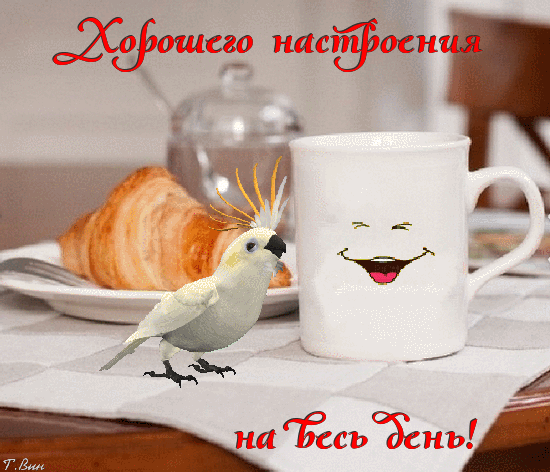 Мой Мир@Mail.Ru