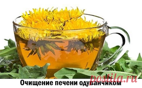 (19) Одноклассники