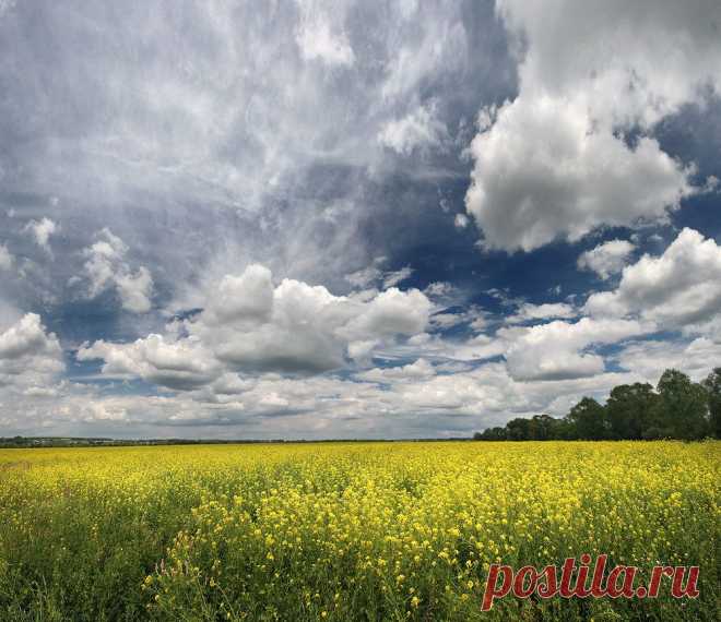 35PHOTO - Вадим Трунов - ***