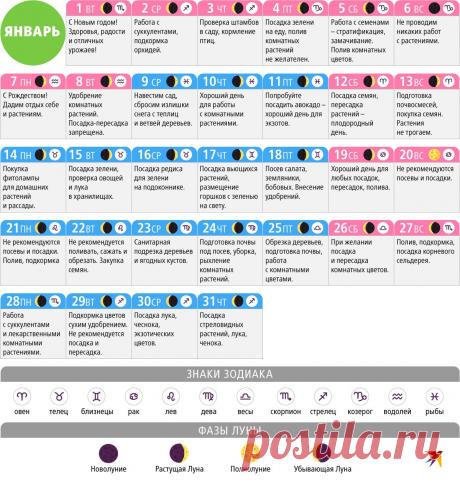 Лунный календарь садовода на январь 2019 - полная таблица