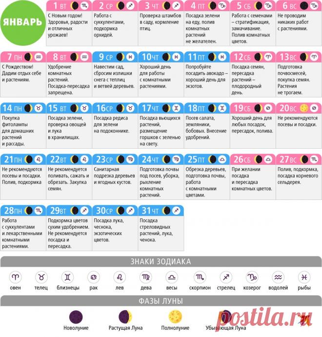 Лунный календарь садовода на январь 2019 - полная таблица