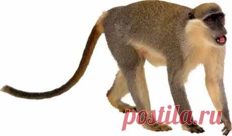 страницы которые создавались константина валерьевича сосницкого краснодар: 10 тыс изображений найдено в Яндекс.Картинках