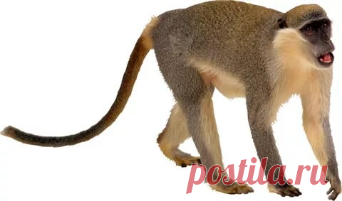 страницы которые создавались константина валерьевича сосницкого краснодар: 10 тыс изображений найдено в Яндекс.Картинках