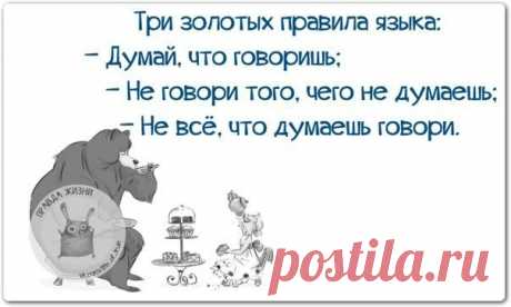 юморинки в картинках