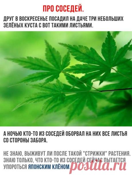 )))
