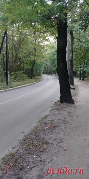 Двигун, кпп москвич: 1 000 грн. - Автозапчасти Бердичев на Olx