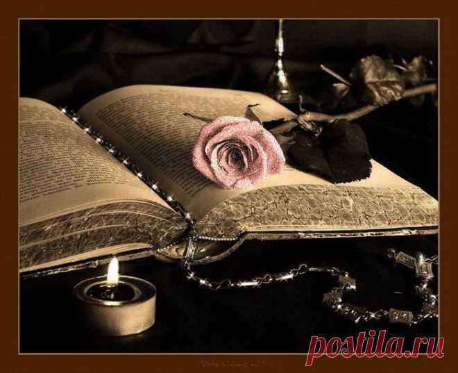 я счастлива: не безумна ,не слепа.просить судьбу мне не о чем .и все же. пусть будет на земле дешевле хлеб,а человеческая жизнь дороже.