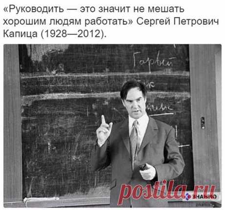 Знанио • образовательный портал