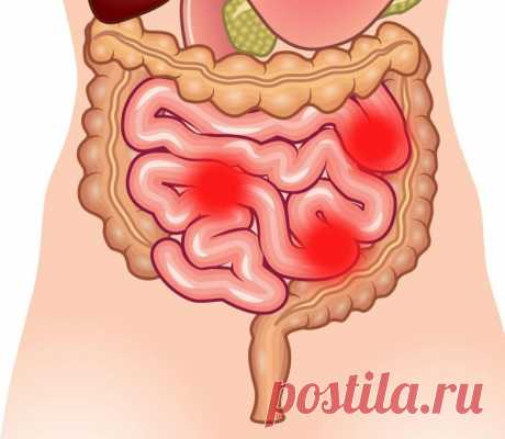 Эти 2 ингредиента смоют килограммы отходов из кишечника